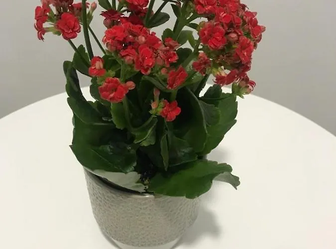 Hotel Pension Camino Del Norte